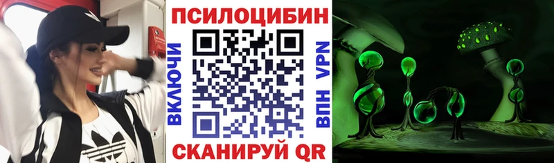 Псилоцибиновые грибы ЛСД Купить где Дно