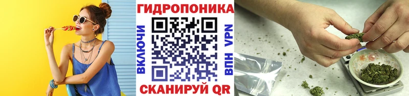 Шишки марихуана марихуана  Купить где  Дно 